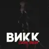 ВиКК - Одна такая